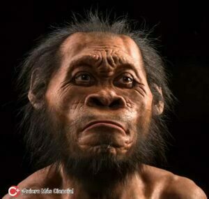 Homo naledi, evolución humana, comportamiento, rituales funerarios, tamaño del cerebro.