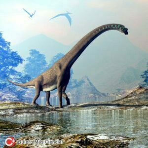 Dinosaurios Saurópodos, Evolución, Tamaño Corporal, Adaptaciones Anatómicas, Registro Fósil
