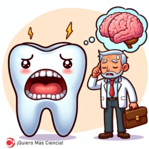 La salud bucal impacta el cerebro. La periodontitis puede influir en la atrofia cerebral, revelando su conexión directa.