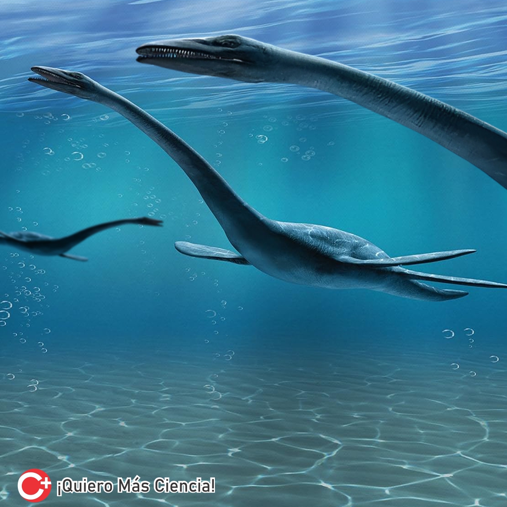 El fósil de “dragón”, descubierto en China, tiene 240 millones de años. Pertenece a la especie Dinocephalosaurus orientalis.