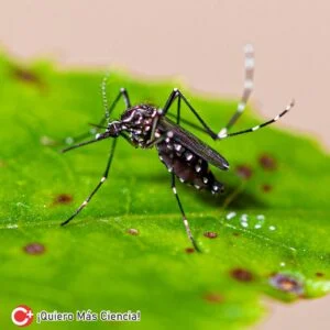 En ambientes acuáticos, los mosquitos prefieren nacer juntos, lo que aumenta las posibilidades de supervivencia de las larvas en condiciones adversas.
