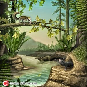 El estudio de los mamíferos fósiles del Jurásico ha revelado detalles fascinantes sobre la evolución de características distintivas de los mamíferos, como nuestros oídos y dientes.